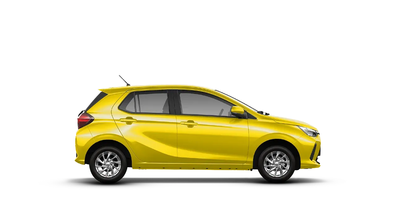 Hatchbacks & Sedans